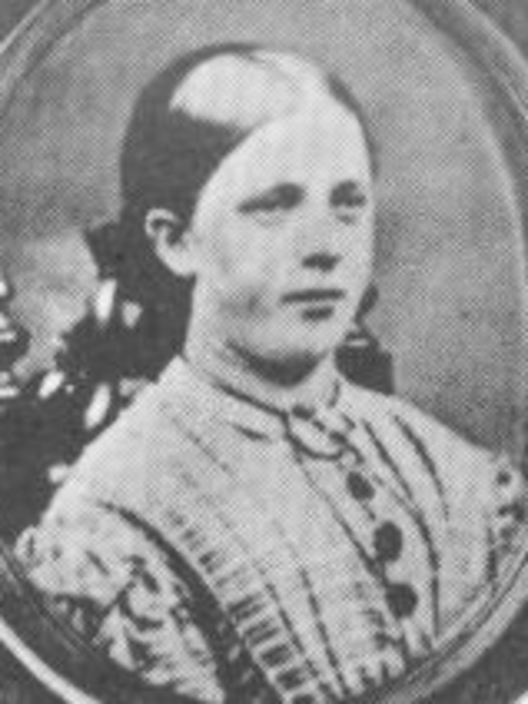 Sarah Beard (1849 - 1913) Profile
